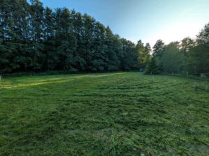 Pachtland/ Weidefläche/ Wiese / Pferde/Pony/Schafe – Foto 3