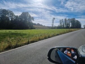 Grundstücke Haiger Kalte Eiche H-seelbach zu verkaufen/verpachten – Foto 4