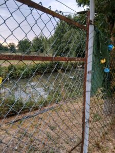 fischweiher zu verpachten – Foto 5
