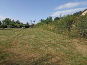 Kleingarten zu verpachten – Foto 3