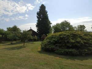 Kleingarten zu verpachten – Foto 4