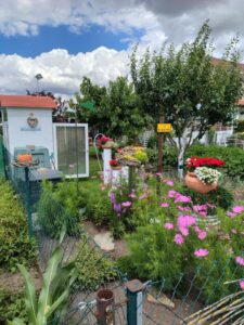 Pachtgarten in Ichtershausen