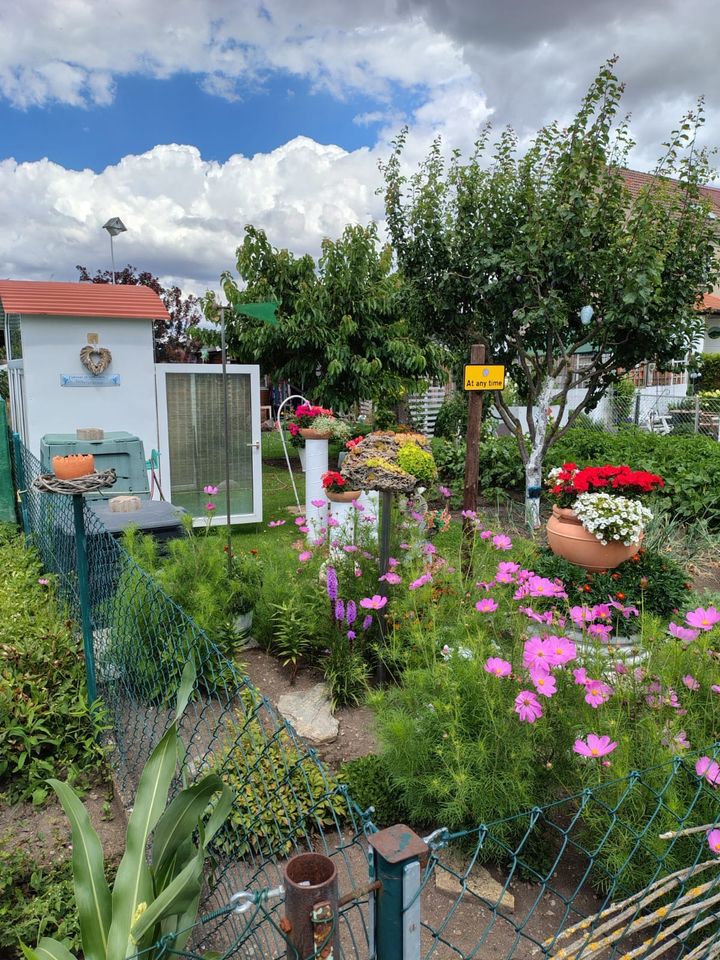 Pachtgarten in Ichtershausen