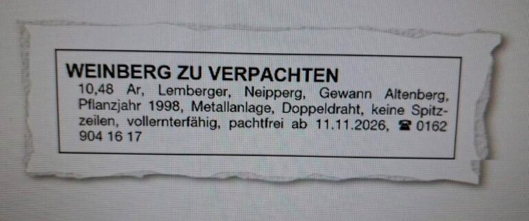 Weinberg zu Verpachten - Pachtfrei