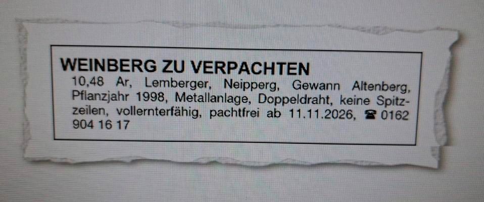 Weinberg zu Verpachten - Pachtfrei