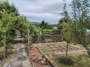 Pacht Garten in Weimar – Foto 3