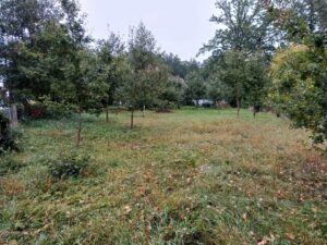 Schöne Wiese direck an der Stederau zu verpachten
