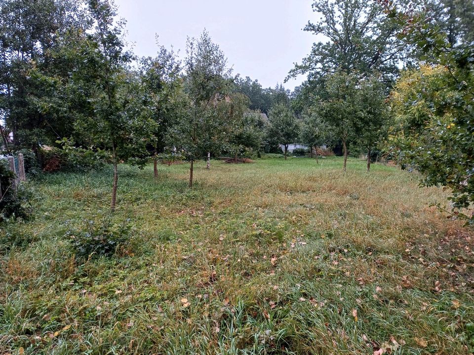 Schöne Wiese direck an der Stederau zu verpachten
