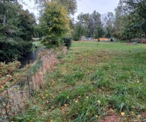 Schöne Wiese direck an der Stederau zu verpachten – Foto 2