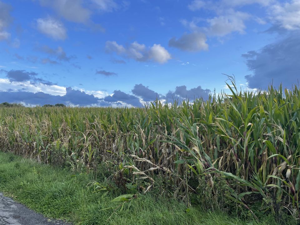 Ca. 8000 m² Ackerland in Dülmen-Welte