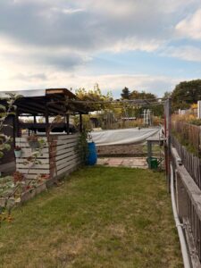 Sehr schöner gepflegter Pacht Garten – Foto 4