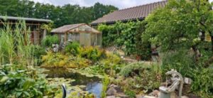 Großzügiger Kleinpacht garten in Buchwäldchen abzugeben