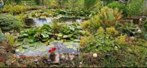 Großzügiger Kleinpacht garten in Buchwäldchen abzugeben – Foto 3