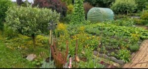 Großzügiger Kleinpacht garten in Buchwäldchen abzugeben – Foto 5