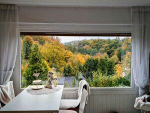 Schwedenhäuschen im Grünen: 35 m² auf 435 m² Pachtgrund, Waldnähe – Foto 2