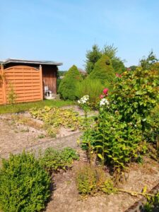 Garten zu verpachten – Foto 2
