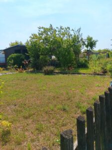 Garten zu verpachten – Foto 3