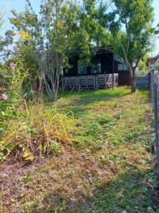 Garten zu verpachten – Foto 4