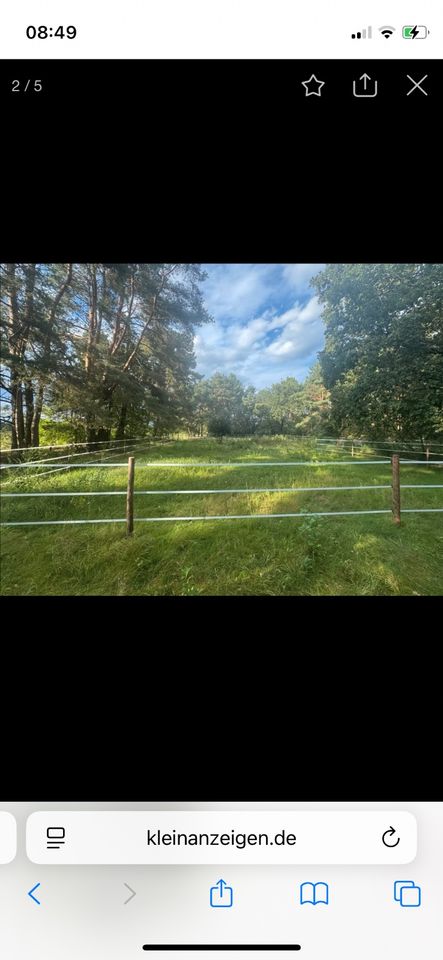 Waldwiese / Pachtland / Offenstall