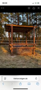 Waldwiese / Pachtland / Offenstall – Foto 3