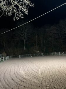 Stalltrakt Stall zur Pacht Reitplatz Boxen Weideland – Foto 2