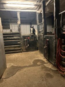 Stalltrakt Stall zur Pacht Reitplatz Boxen Weideland – Foto 3