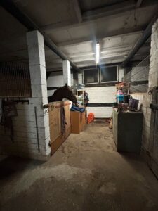 Stalltrakt Stall zur Pacht Reitplatz Boxen Weideland – Foto 4