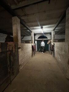 Stalltrakt Stall zur Pacht Reitplatz Boxen Weideland – Foto 5