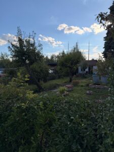 Großer Pachtgarten mit massiver Laube in „Am Kreuzchen“ – Foto 4