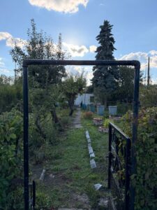 Großer Pachtgarten mit massiver Laube in „Am Kreuzchen“ – Foto 5