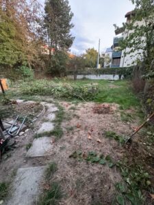 Gartengrundstück in Friedlingen jährlich pachten&vermieten – Foto 2