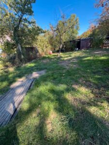 Gartengrundstück in Friedlingen jährlich pachten&vermieten – Foto 4