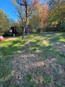 Gartengrundstück in Friedlingen jährlich pachten&vermieten – Foto 5