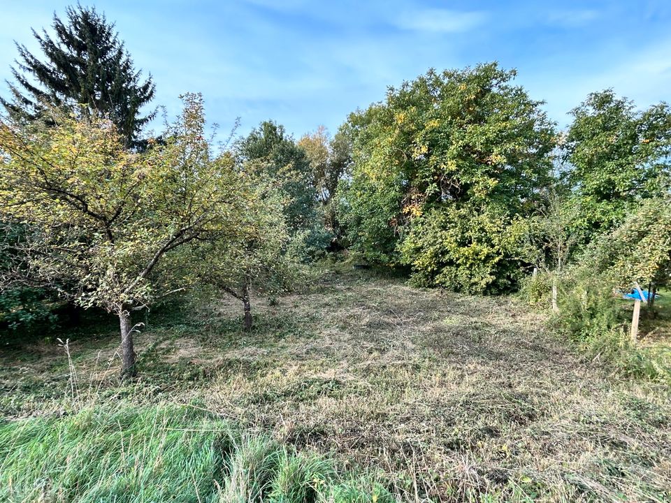 Gartengrundstück 1.060 m² mit Obstbäumen & Bachlauf zu verpachten