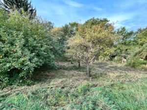 Gartengrundstück 1.060 m² mit Obstbäumen & Bachlauf zu verpachten – Foto 2