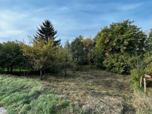 Gartengrundstück 1.060 m² mit Obstbäumen & Bachlauf zu verpachten – Foto 4