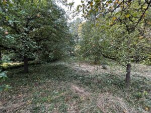 Gartengrundstück 1.060 m² mit Obstbäumen & Bachlauf zu verpachten – Foto 5