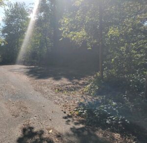 Waldstück (umzäunt) mit Gebäude zu verpachten