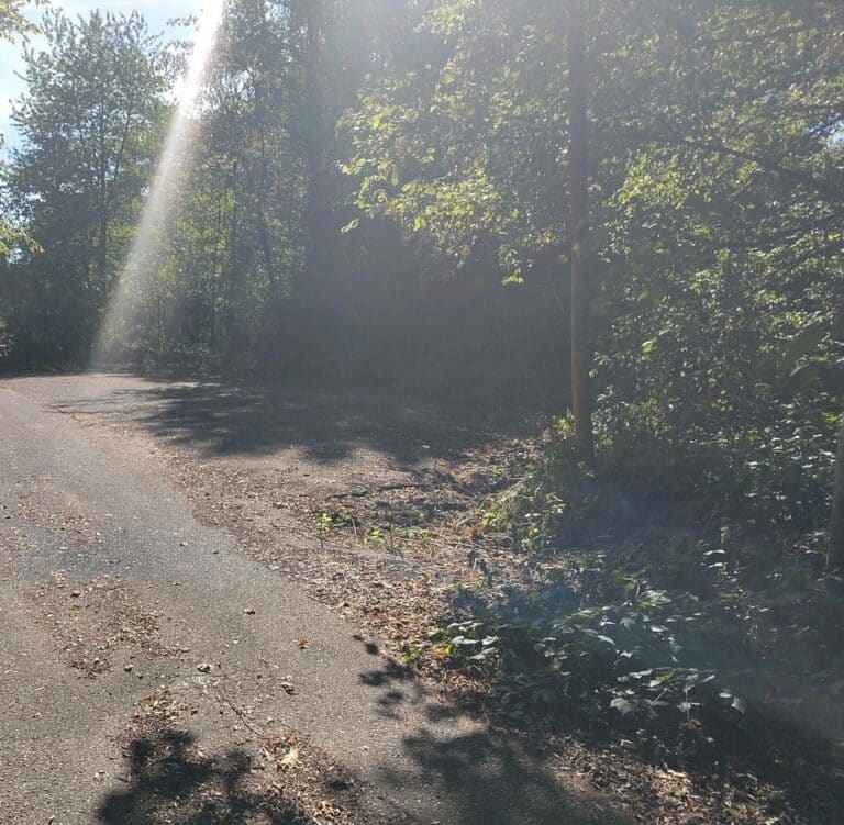 Waldstück (umzäunt) mit Gebäude zu verpachten