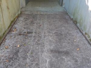 Waldstück (umzäunt) mit Gebäude zu verpachten – Foto 2