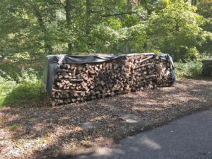 Waldstück (umzäunt) mit Gebäude zu verpachten – Foto 3