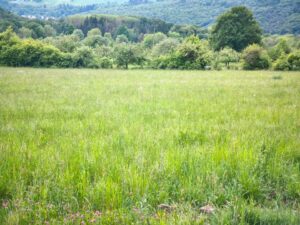 „1.076 m² Acker-/Grünfläche in Kelkheim-Eppenhain zu verpachten“