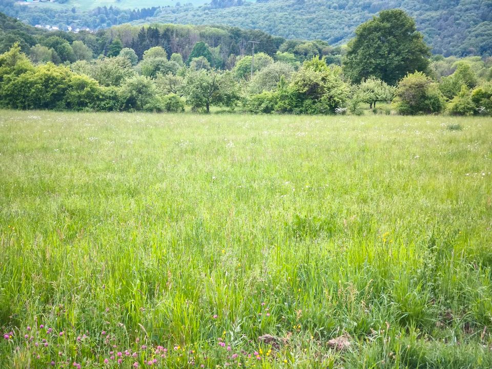 „1.076 m² Acker-/Grünfläche in Kelkheim-Eppenhain zu verpachten“