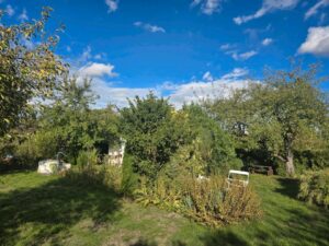 Schrebergarten pachten – Foto 2