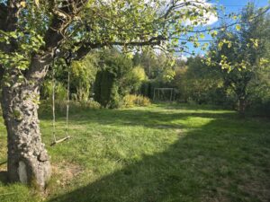Schrebergarten pachten – Foto 4