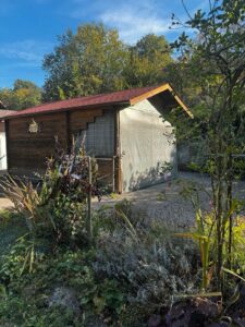 Freizeitgrundstück, Garten, Schrebergarten, Bodensee Nähe, Pacht – Foto 2