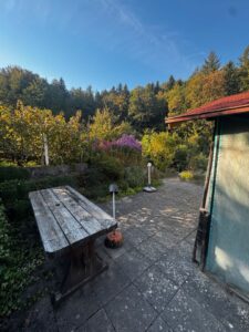 Freizeitgrundstück, Garten, Schrebergarten, Bodensee Nähe, Pacht – Foto 3