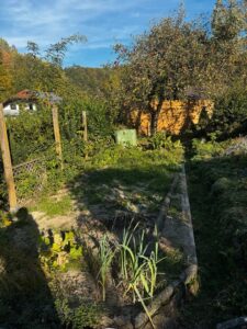 Freizeitgrundstück, Garten, Schrebergarten, Bodensee Nähe, Pacht – Foto 4