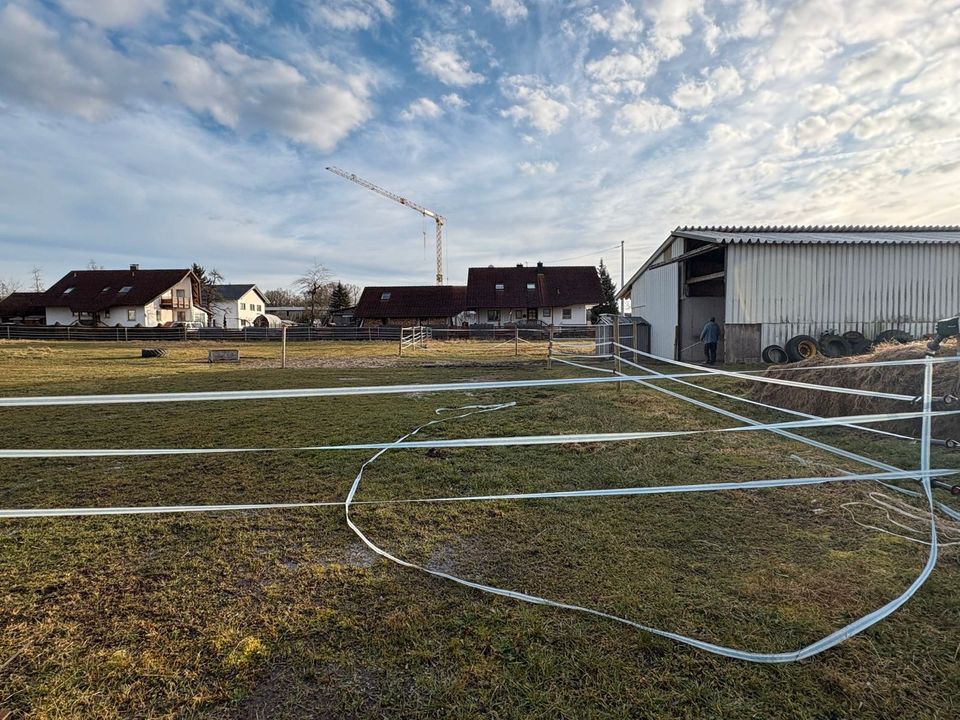 Halle (mit angrenzender Weide) zu verpachten
