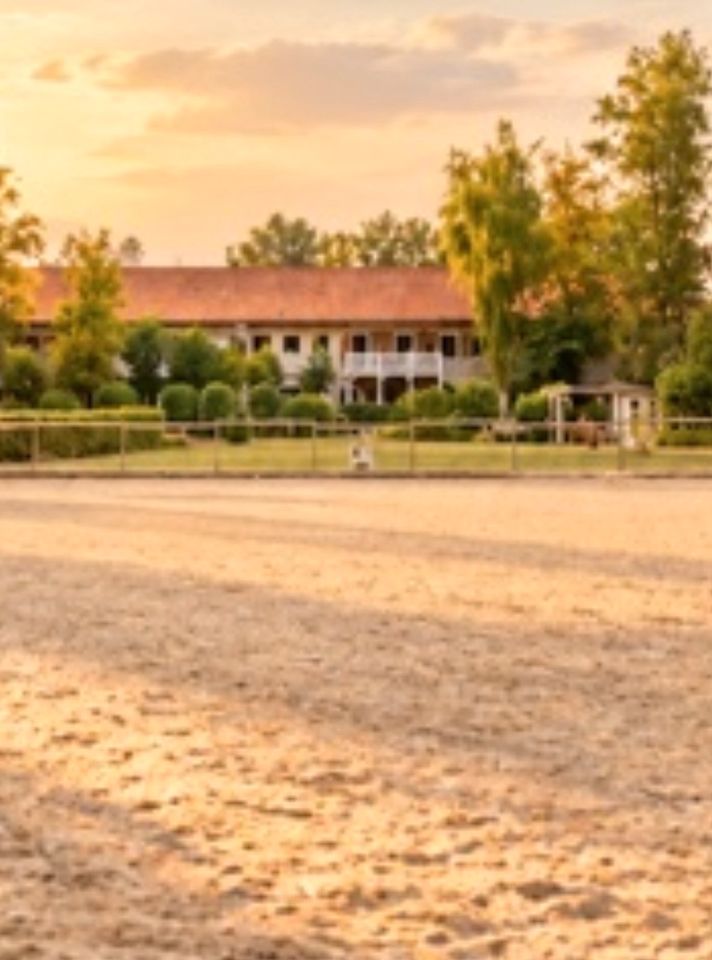 In Reitanlage Stallgasse zu verpachten